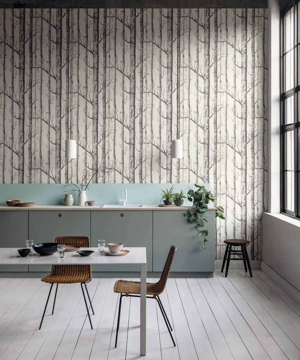Cole and son contemporary collection
