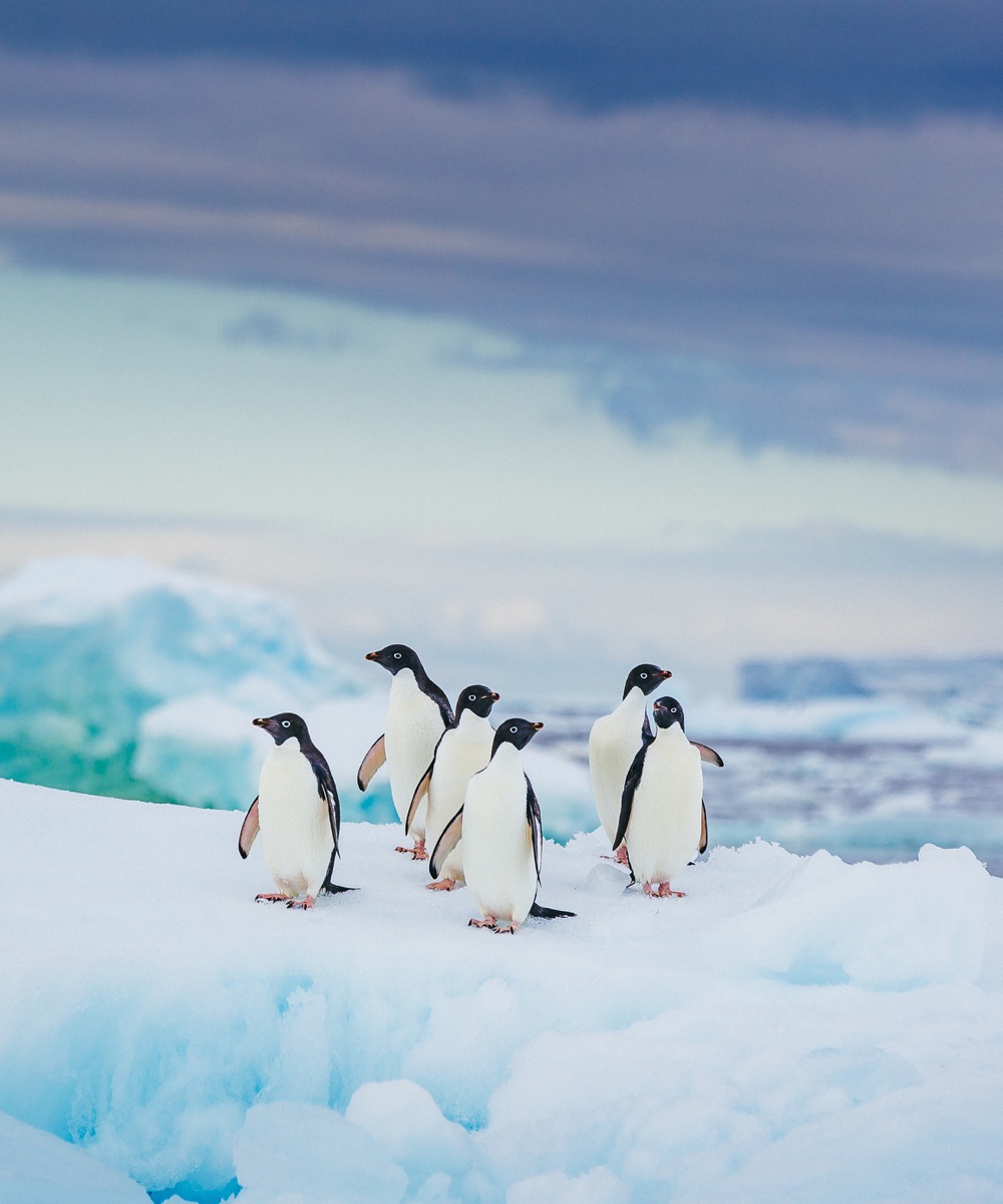 Top 10 luxury travel experiences 2020