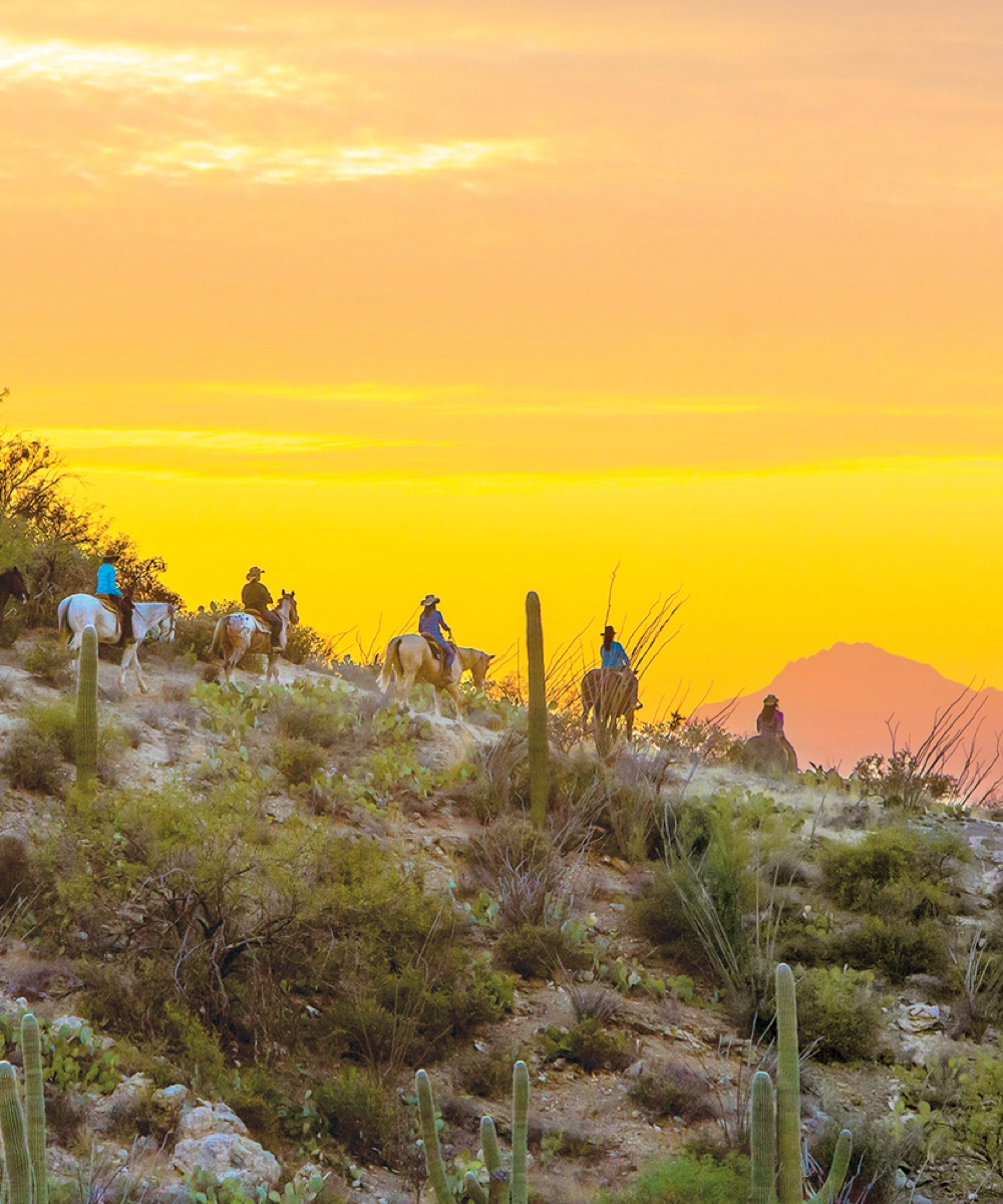 Emerging destinations in America for 2020