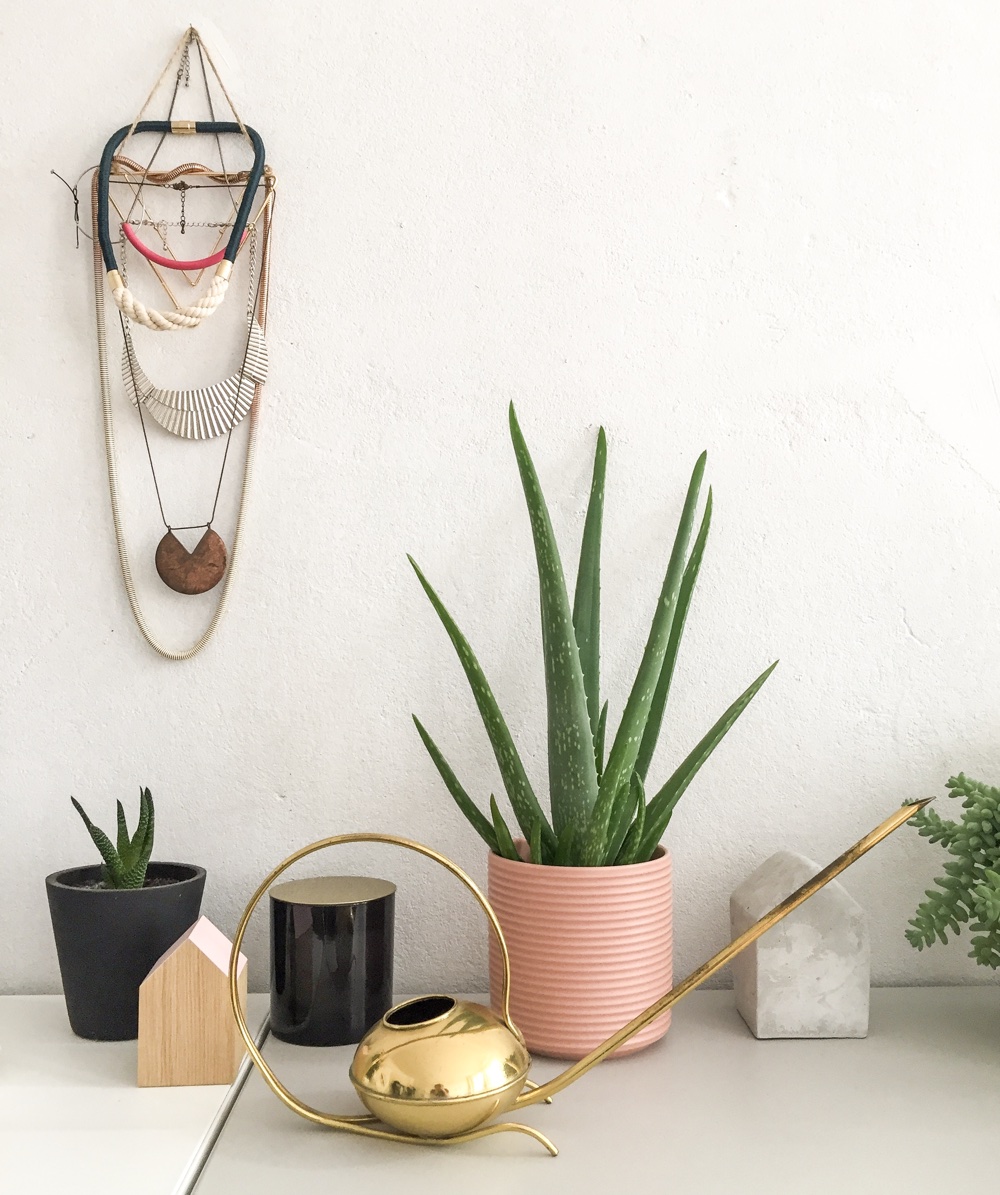 10 top air purifying plants for your home office according to Google