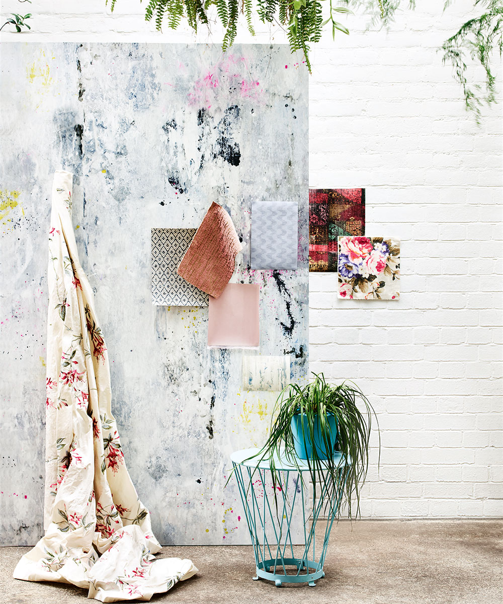 air purifying plants