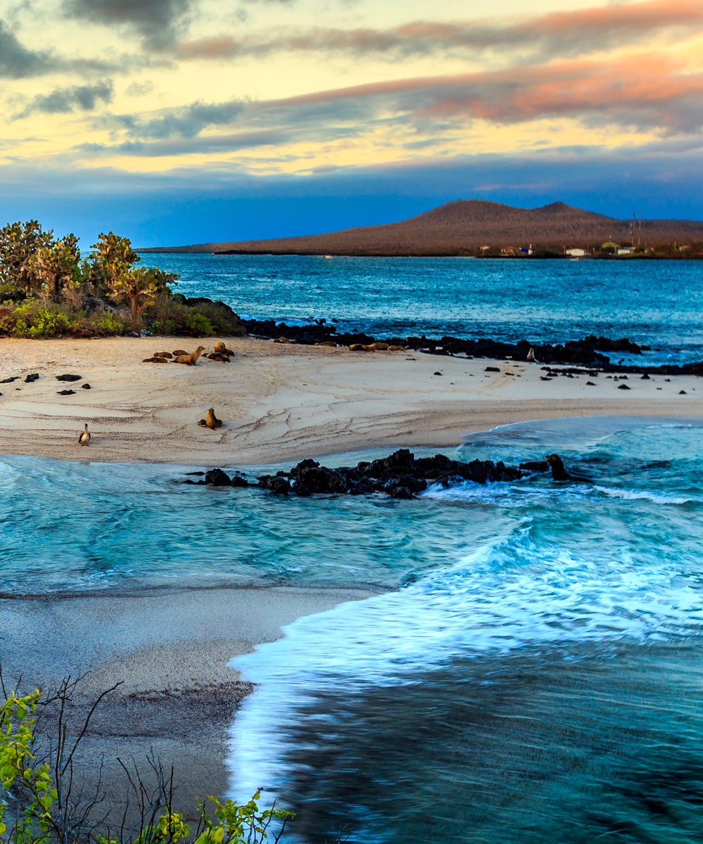 virtual bucket-list tours