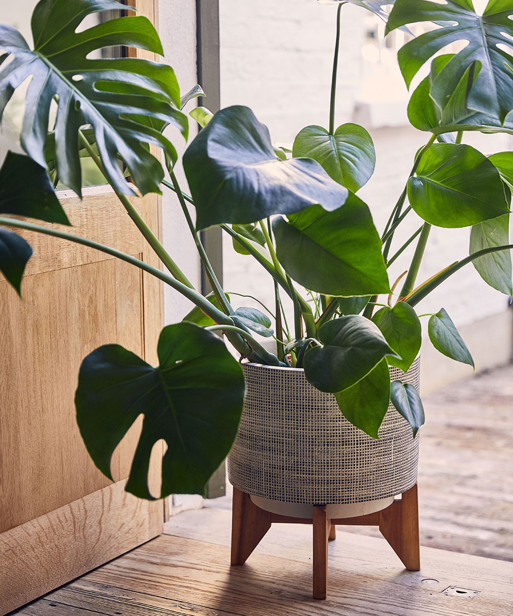 Wellbeing at home
