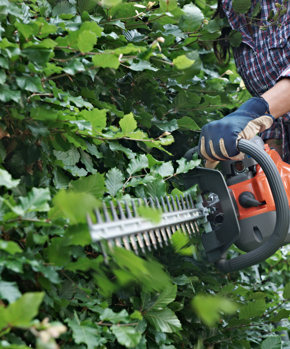 gardening for exercise