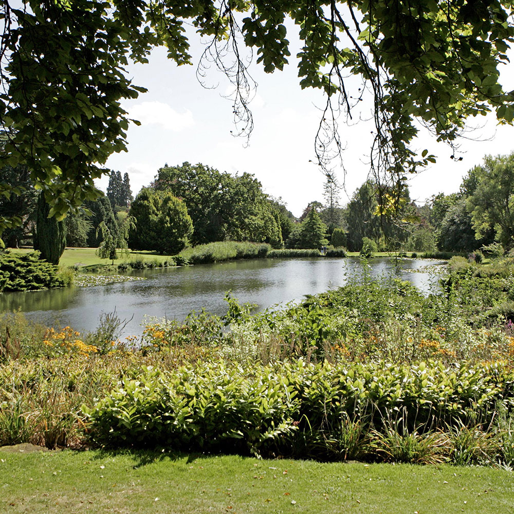 Queen's private garden