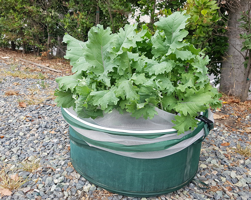 Garden Product of the Year
