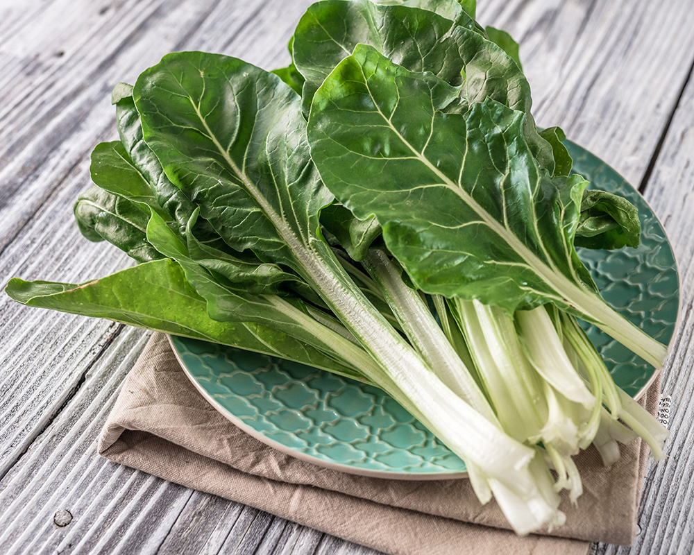how to grow vegetables