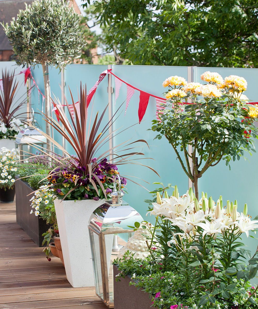 Balcony garden ideas