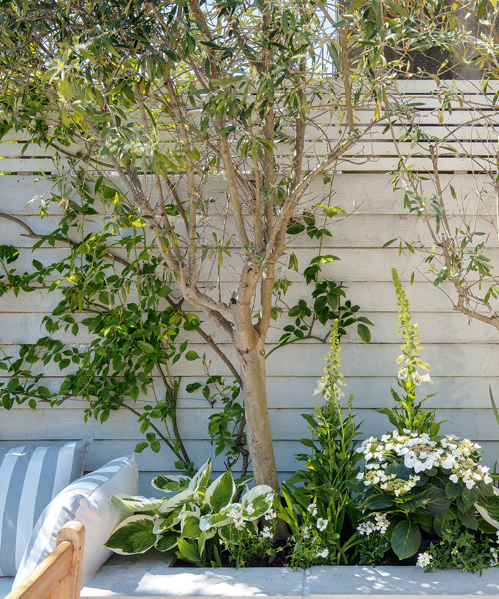 How to plant a fragrant garden