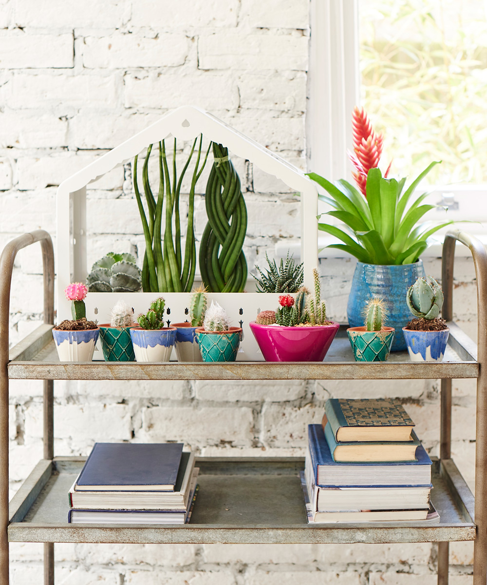 Scandinavian ideas