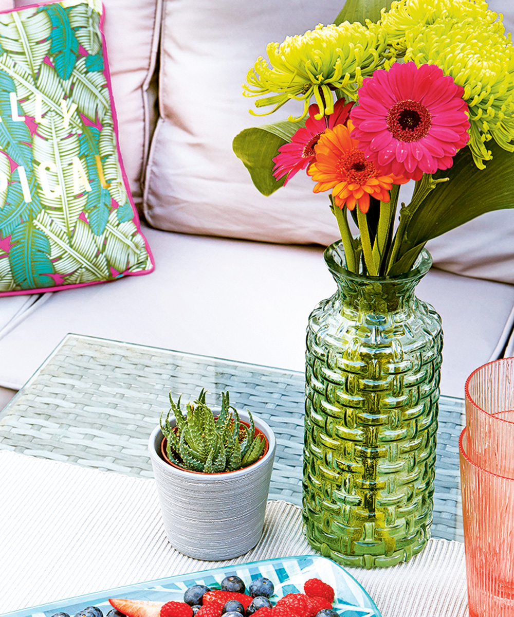 top ten houseplants