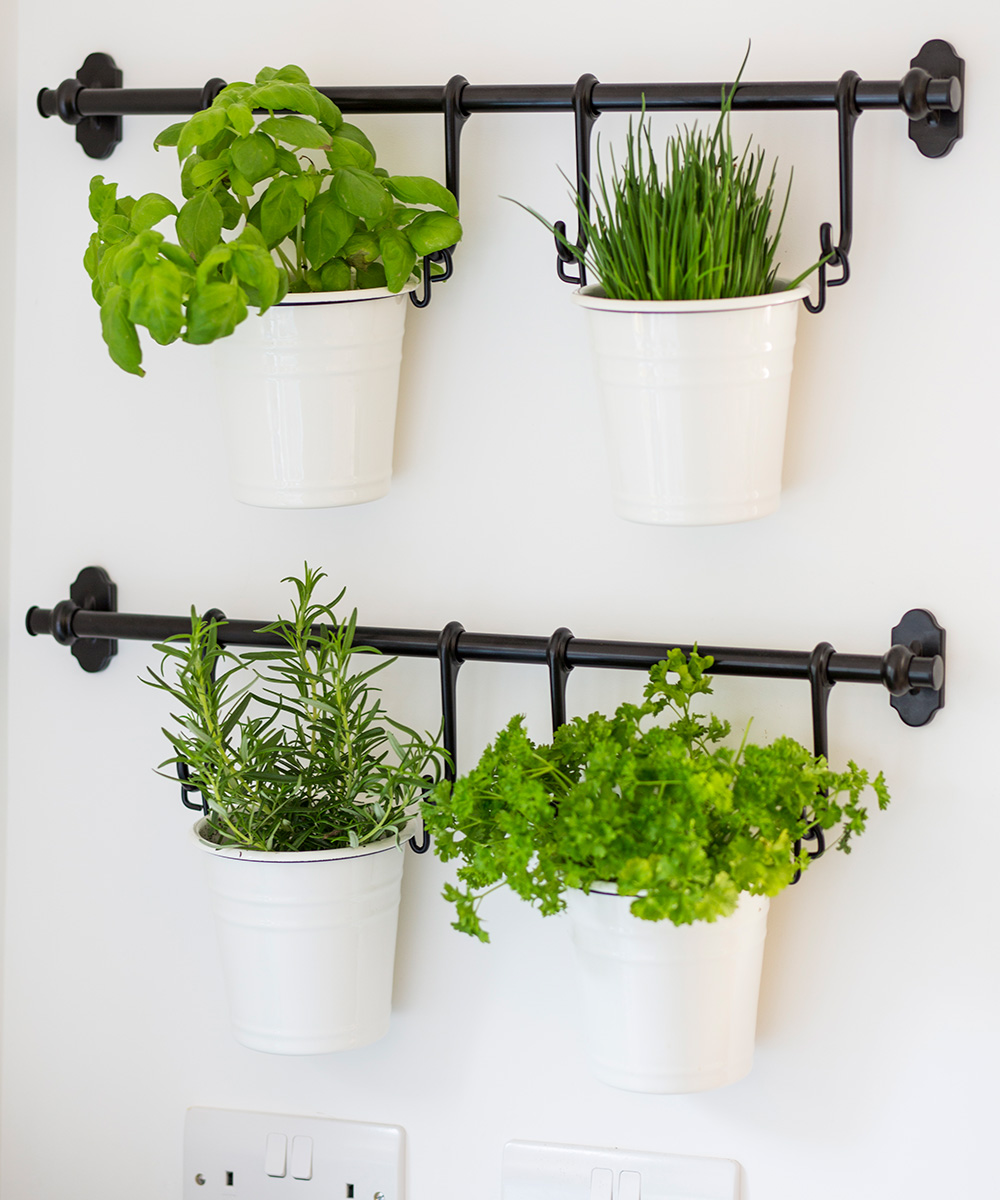 planting mistakes