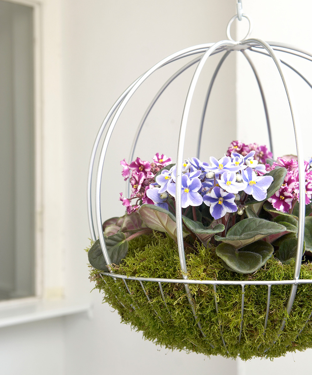garden makeover ideas