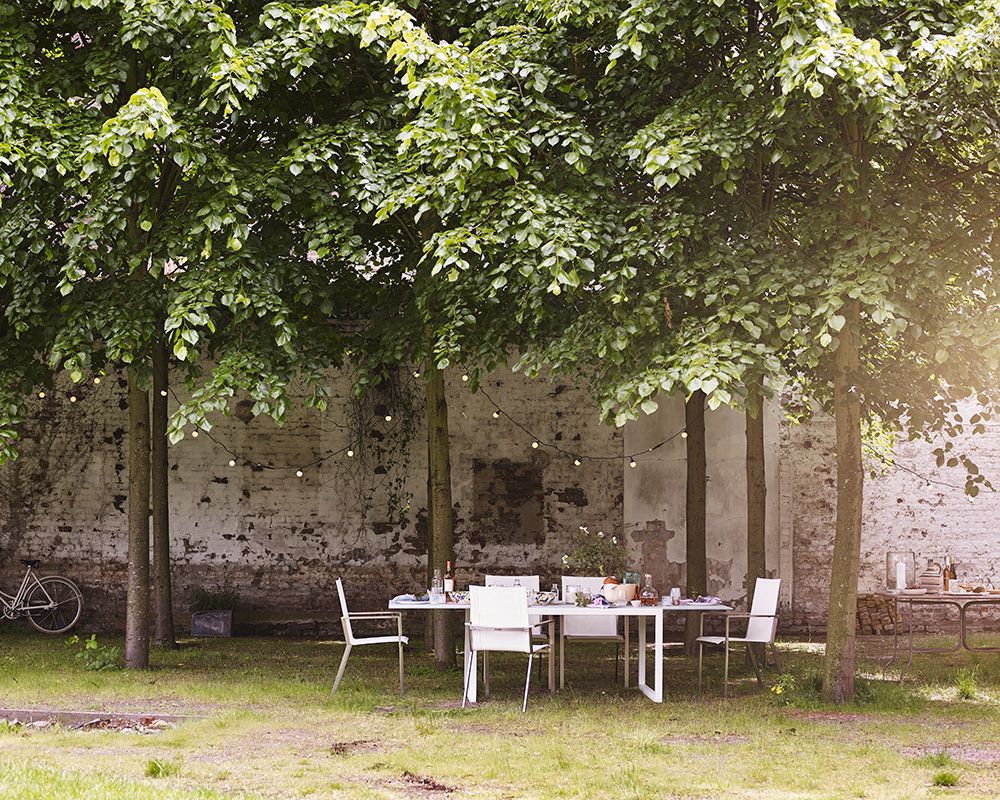 maximise your garden