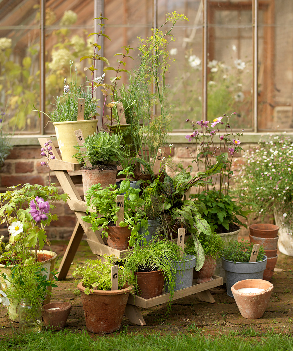 pesticide-free garden