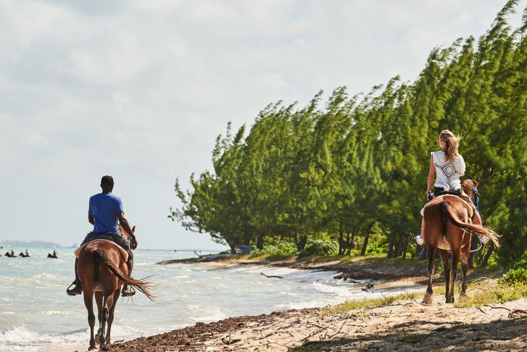 Beach Horse Riding in Cayman Islands