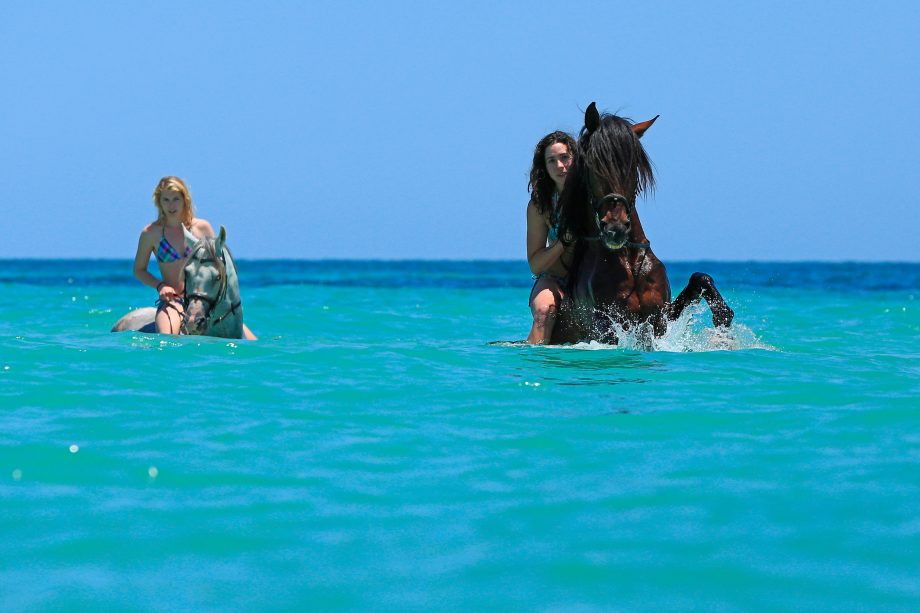 best places to swim on horseback