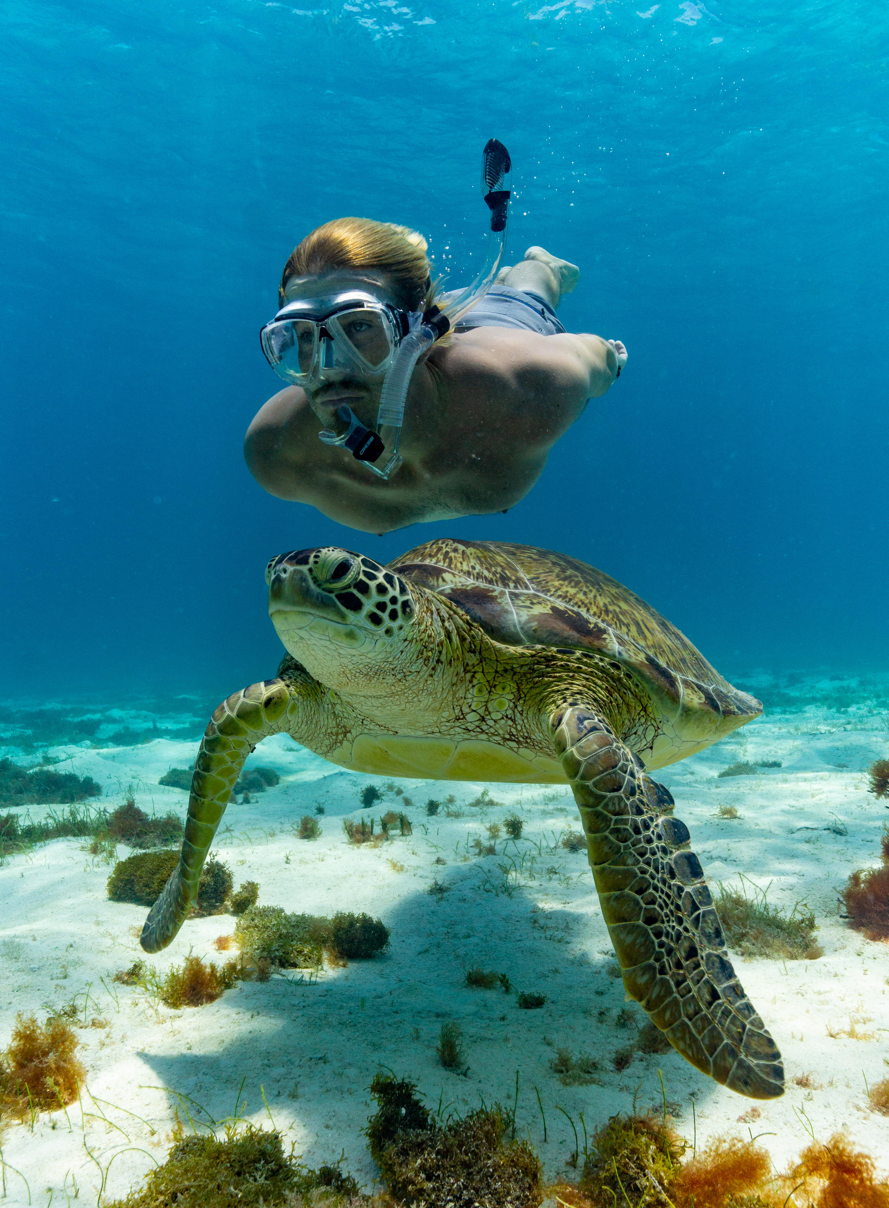 Diving in Tobago
