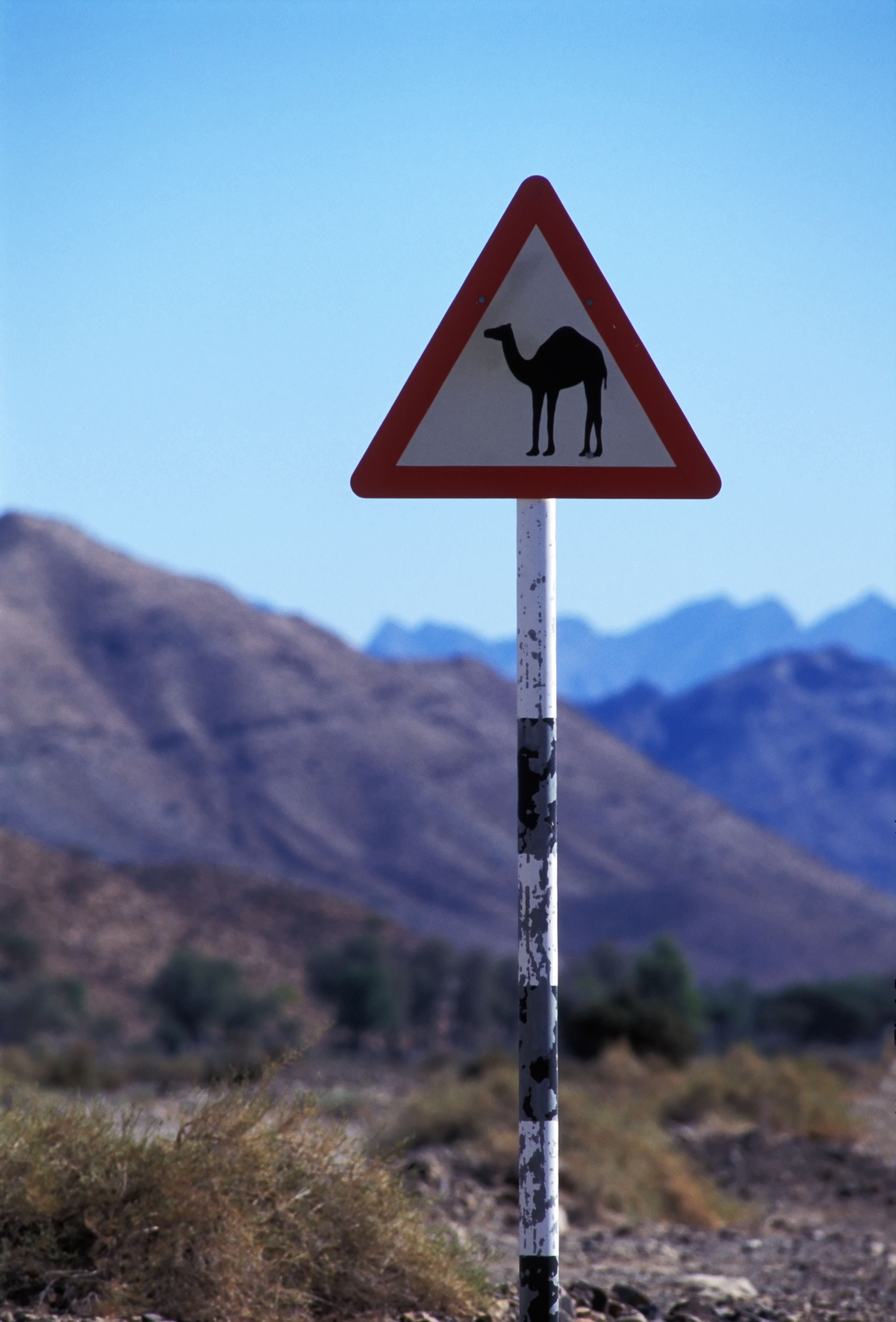 Road sign in Hatta Dubai