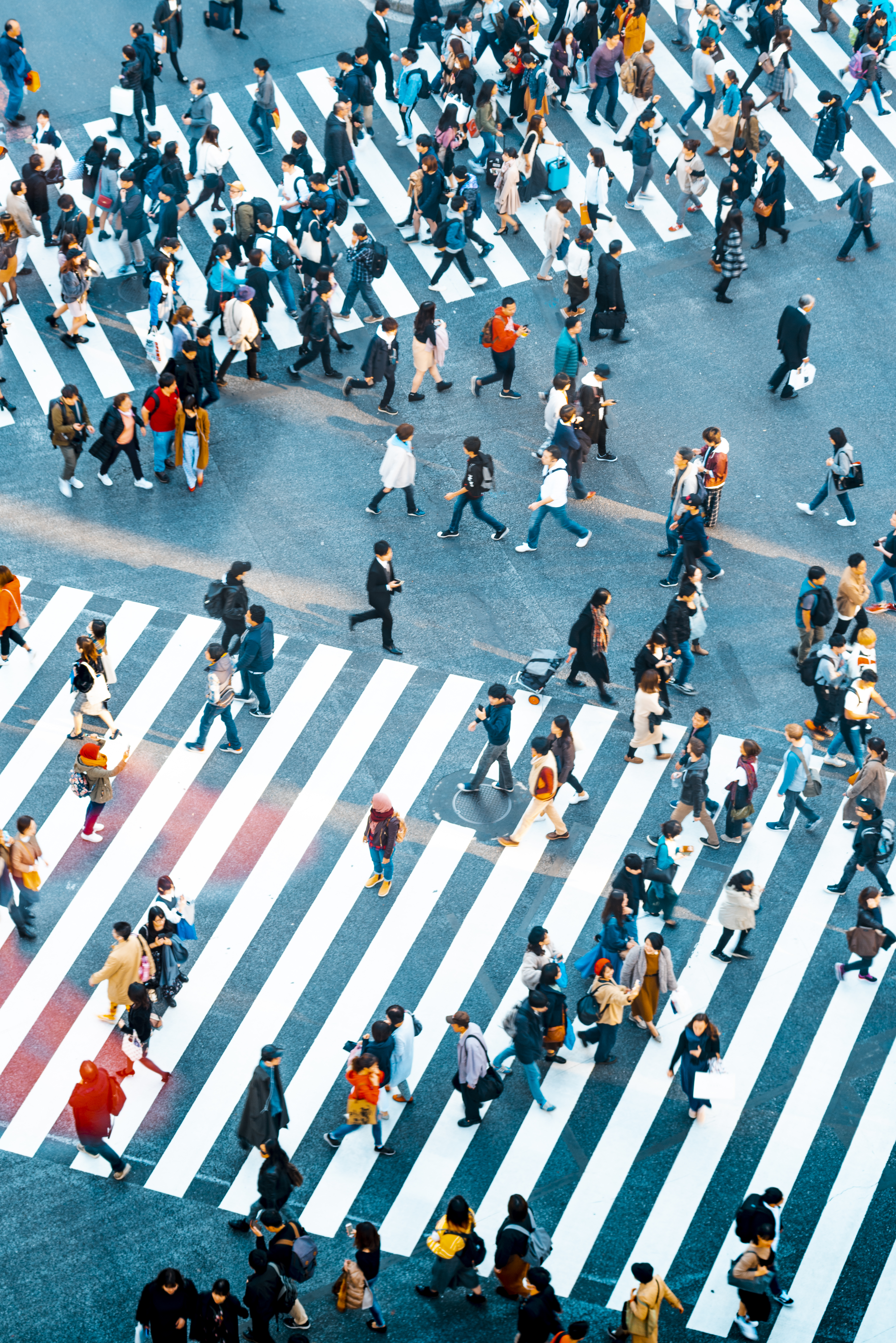 Shibuya Crossing Japan