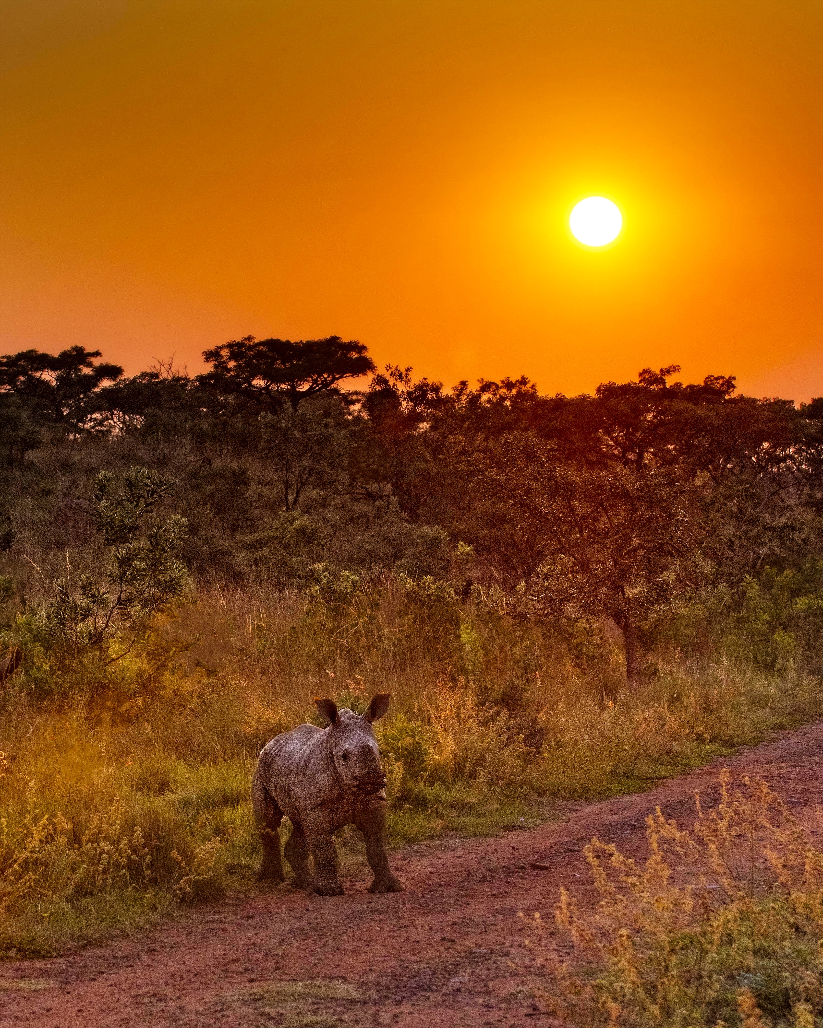 Where to go in September - South Africa