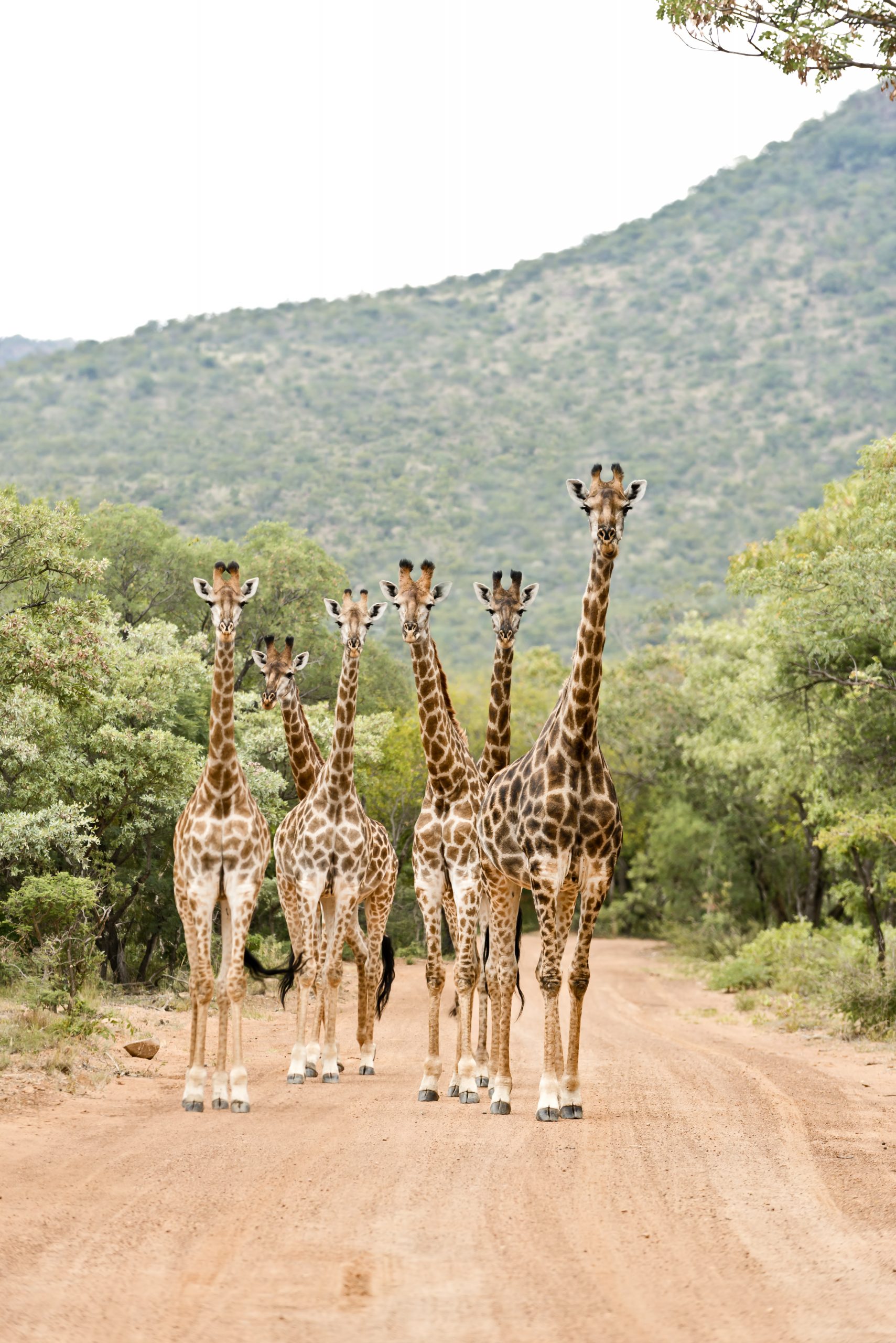 Where to go in April - South Africa