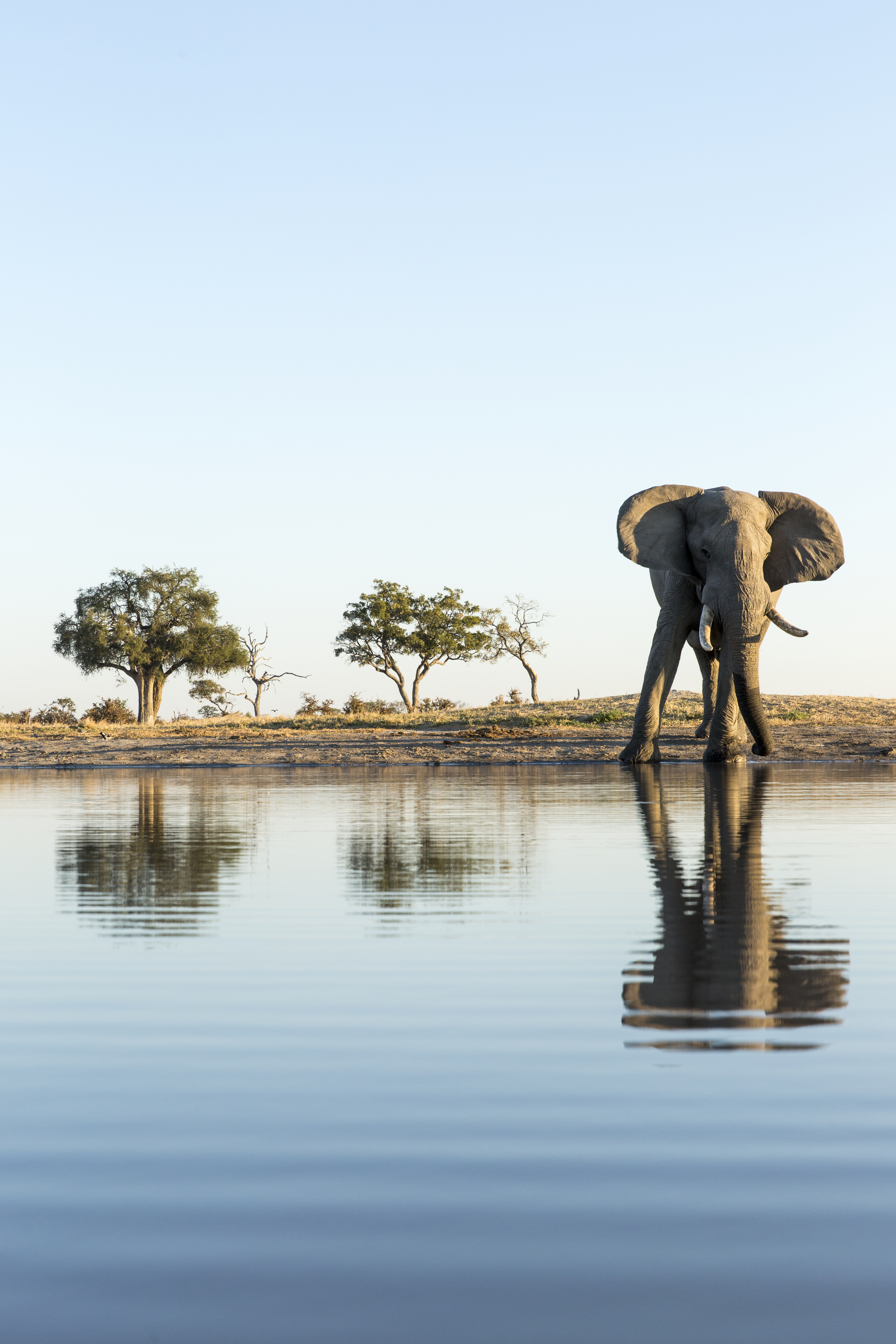 Where to go in August - Botswana