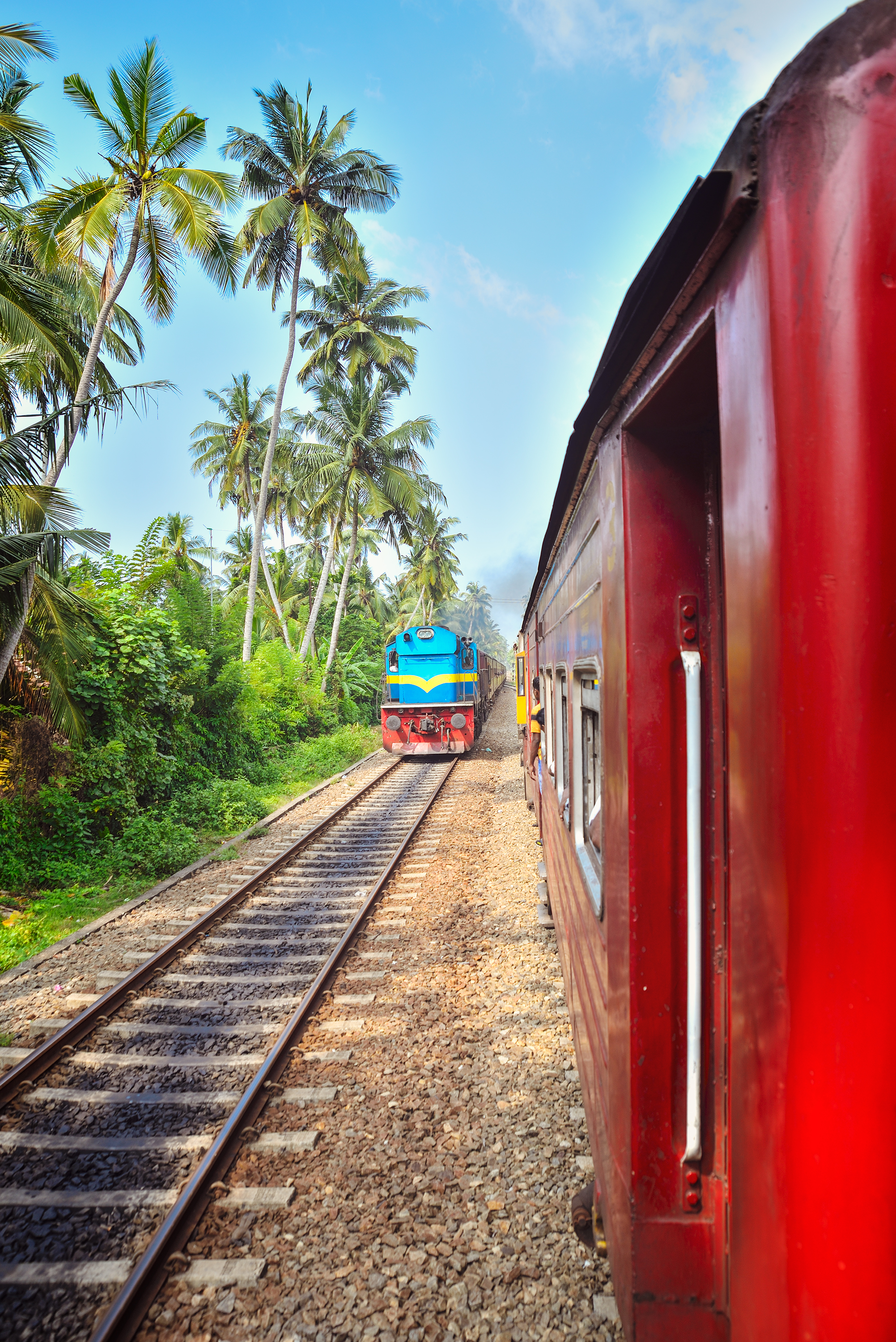 Where to go in february - Sri Lanka