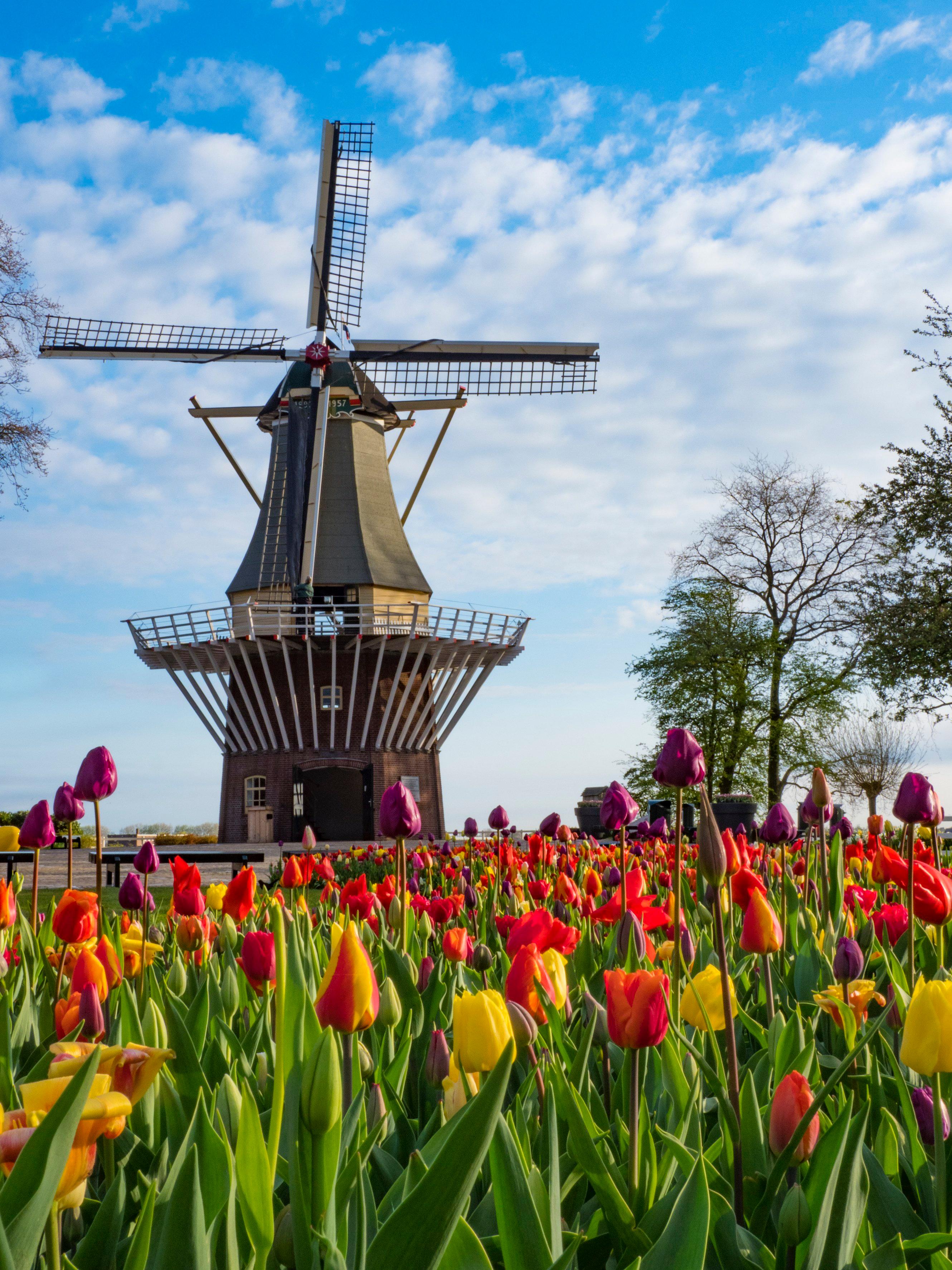 Best places to visit in Europe - Keukenhof, Holland