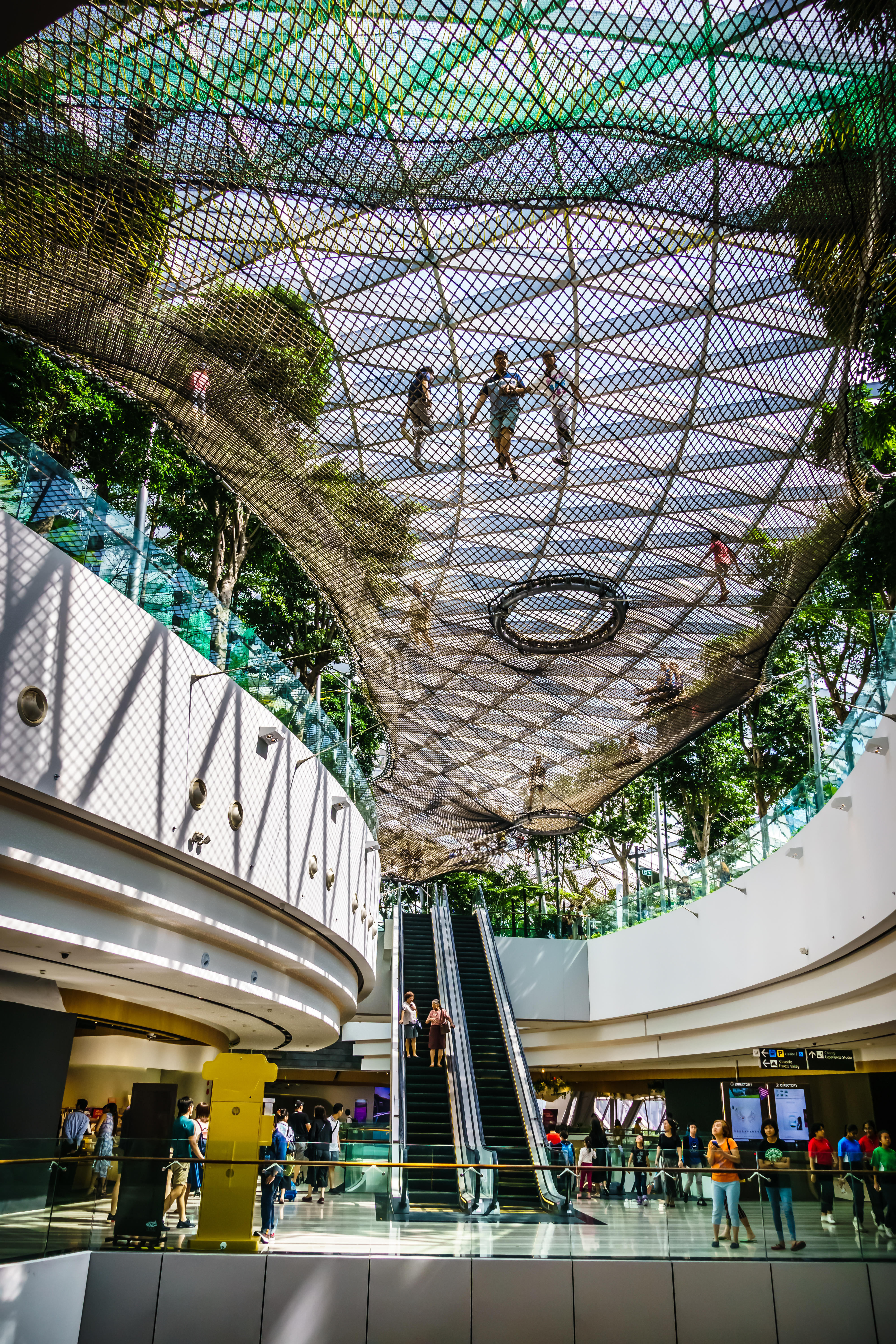 Sky Nets Canopy Park