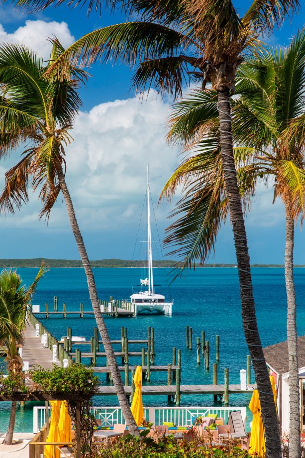 What to do on Harbour Island, The Bahamas The Caribou